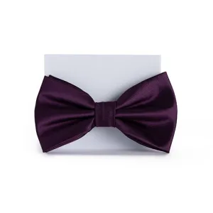 Eggplant Purple Bow Tie