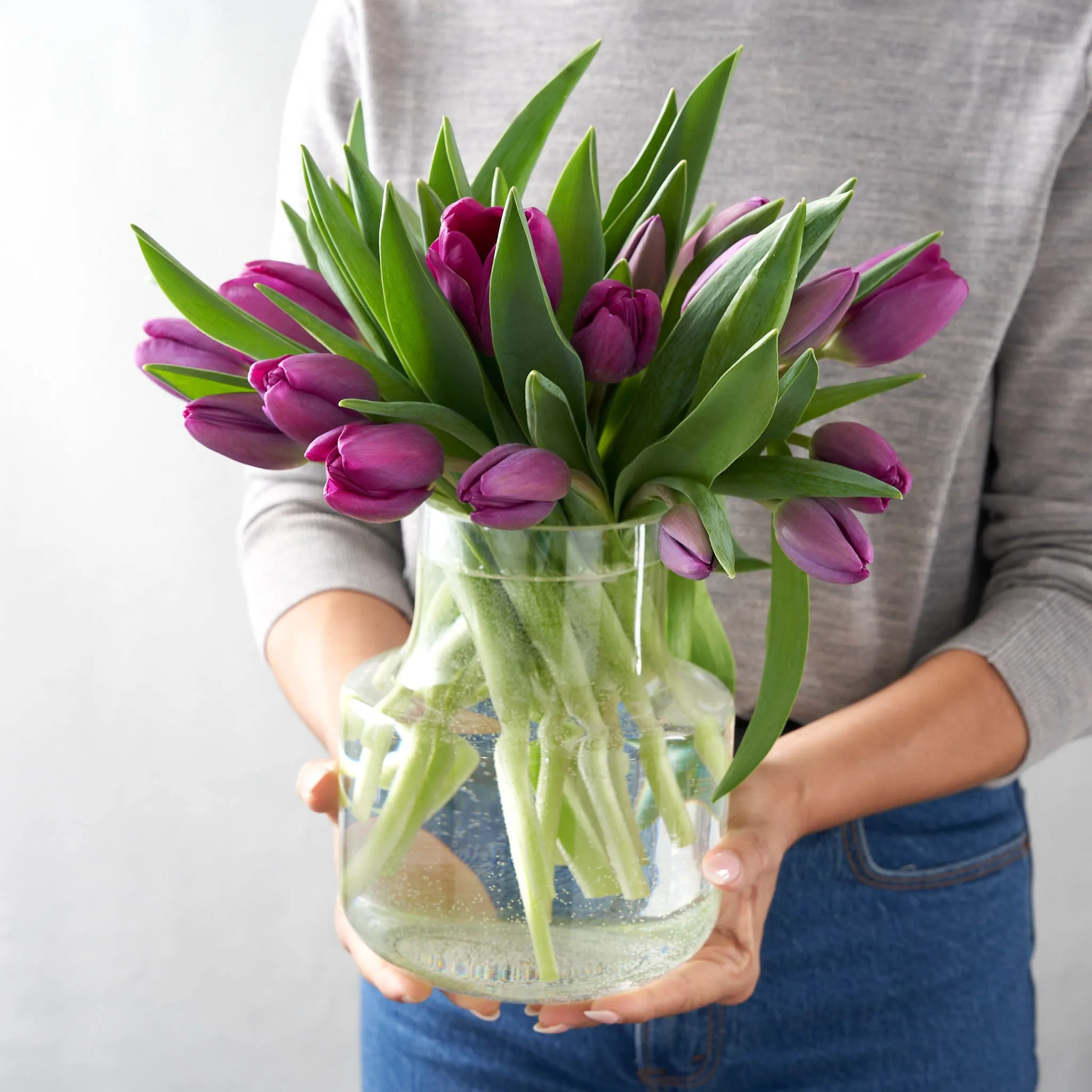 Priscilla (Arranged Purple Tulips)