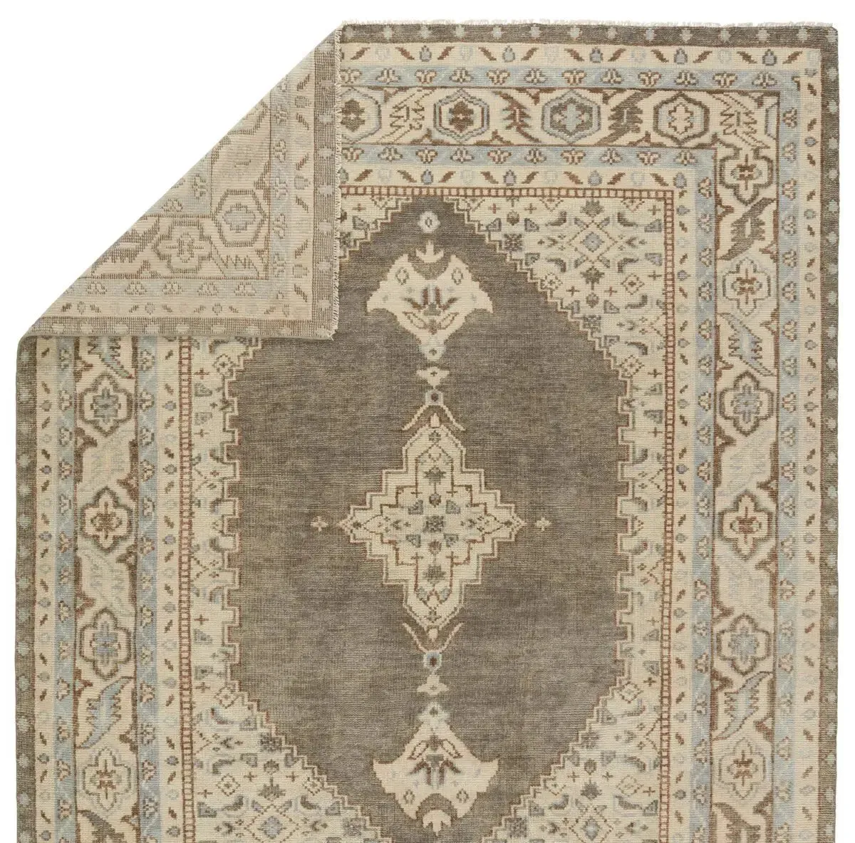 Salinas SLN06 Light Brown Rug