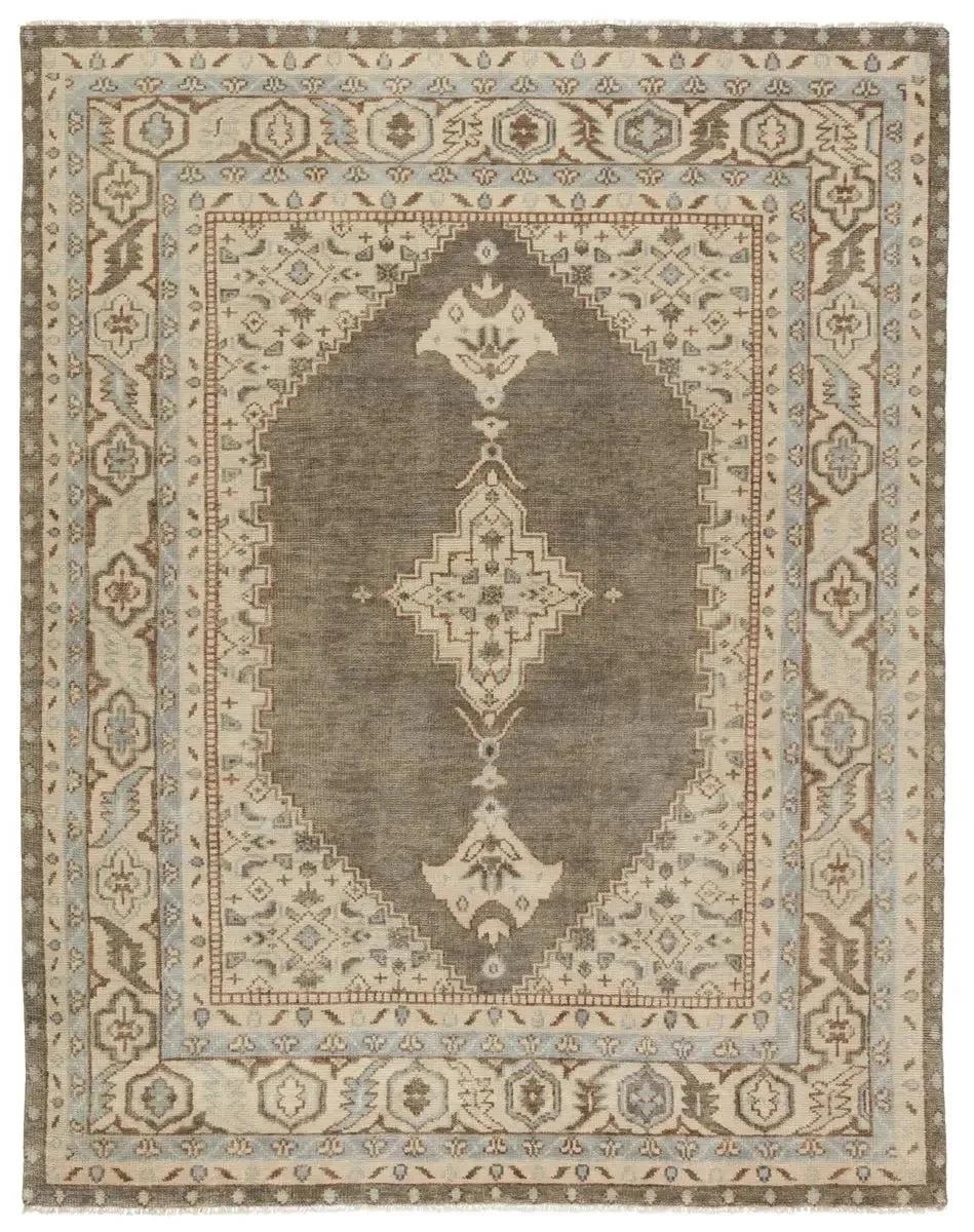 Salinas SLN06 Light Brown Rug